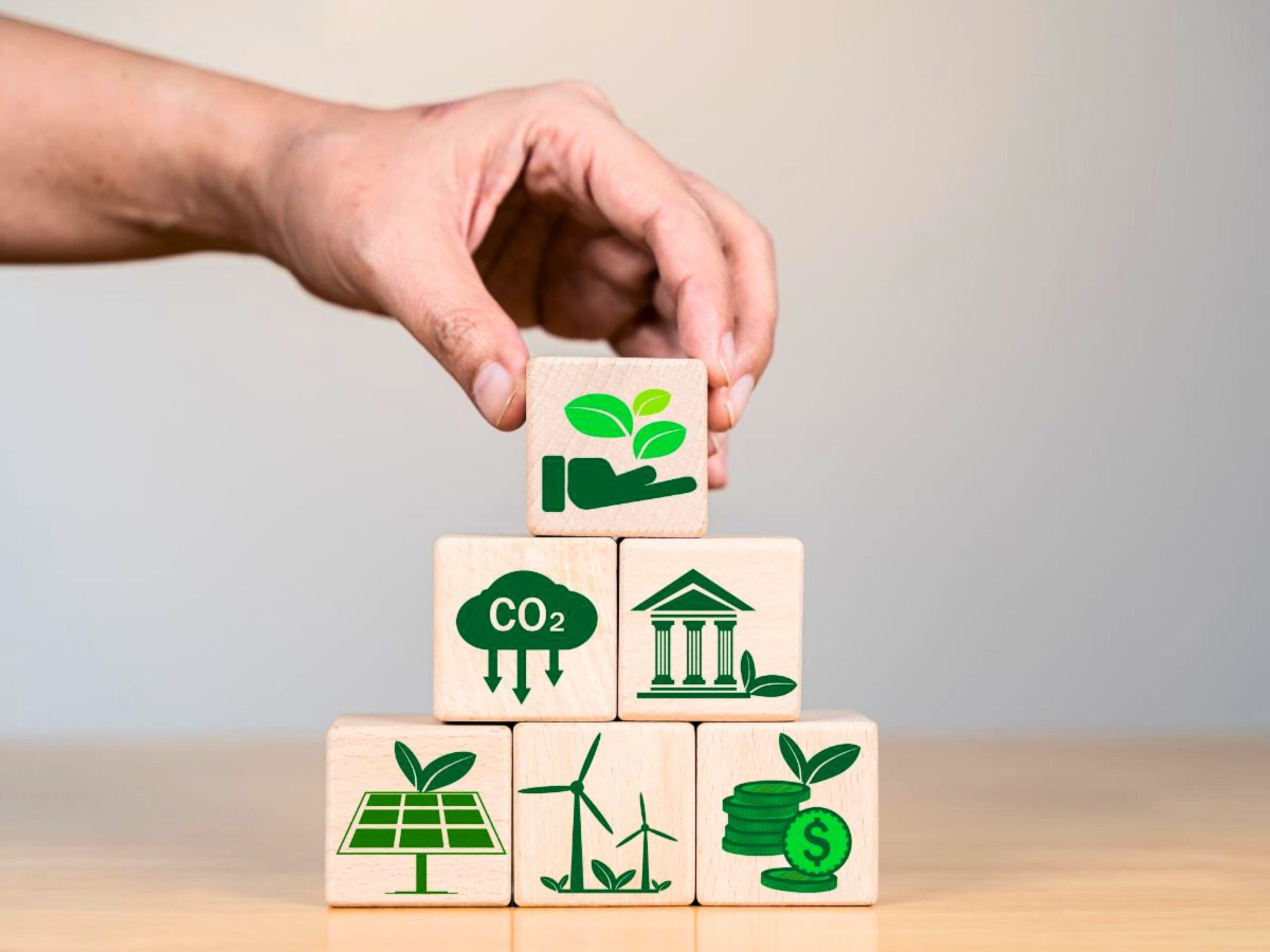 Carbon Credit Development