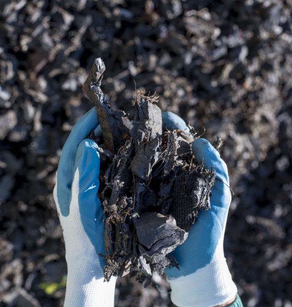 A selective focus shot of a person wearing gloves holding shredded rubber tires