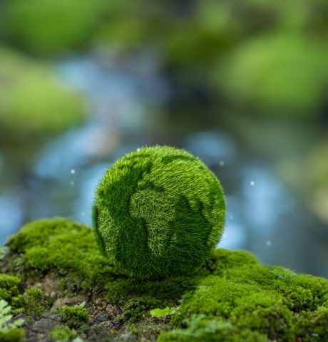 Sustainable Carbon Solutions for Diverse Industries