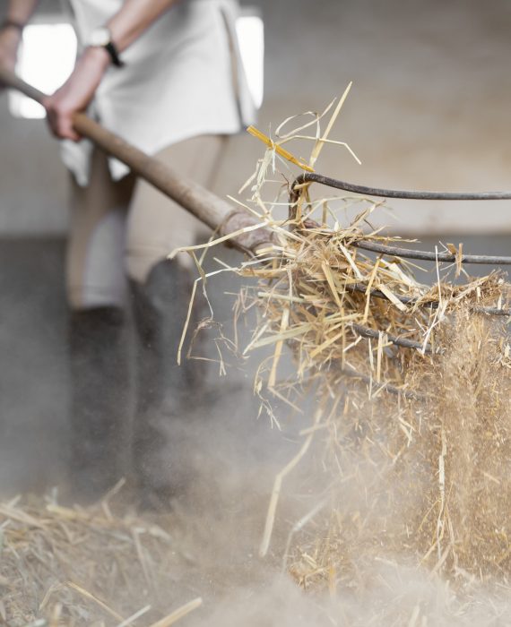 collecting paddy for bio char